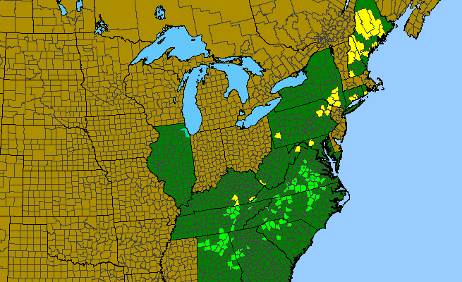 The range of Mononeuria glabra